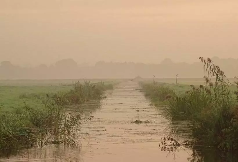 ベッドアンドブレックファースト Hoeve Blitterswijk