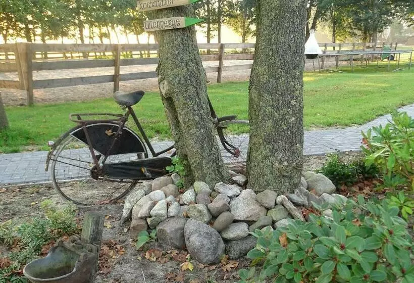 ベッドアンドブレックファースト Hoeve Blitterswijk