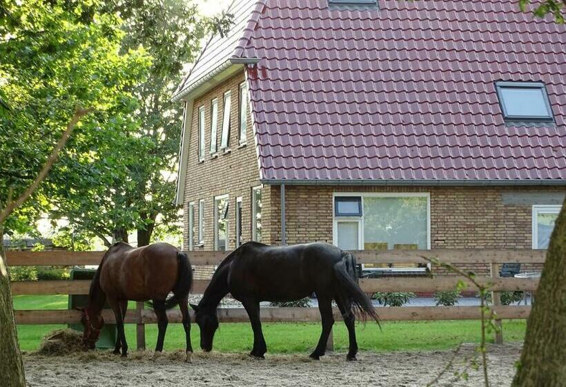 住宿加早餐  Hoeve Blitterswijk