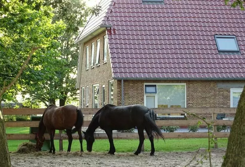 ベッドアンドブレックファースト Hoeve Blitterswijk