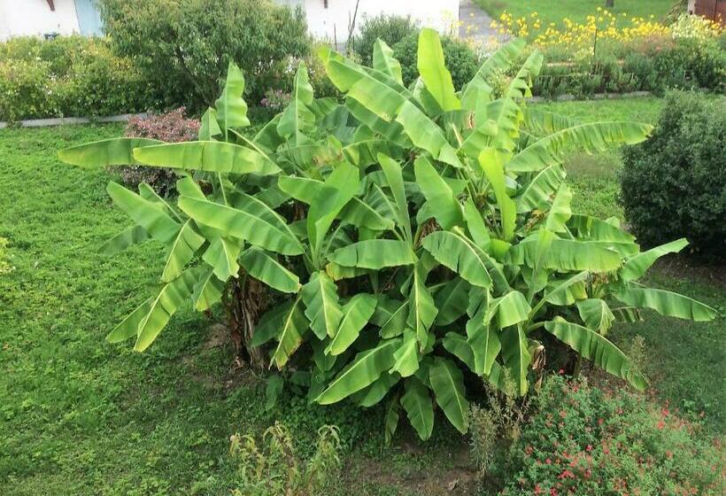 Bed and Breakfast La Halte De Segondignac