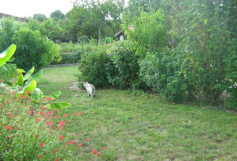 Bed and Breakfast La Halte De Segondignac