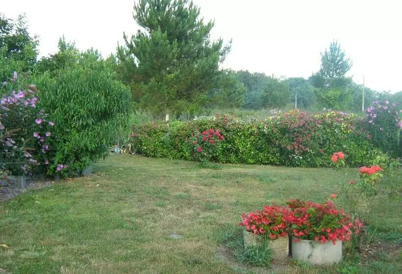 Aamiaismajoitus (B&B) La Halte De Segondignac