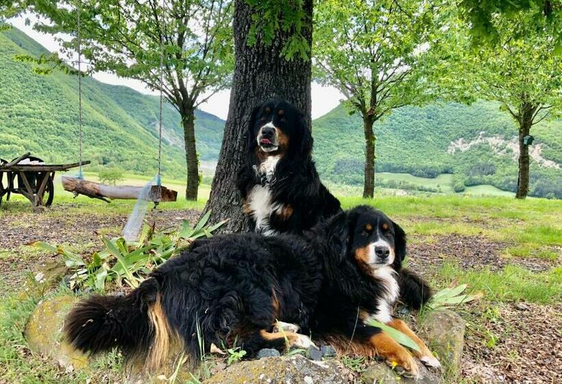 ベッドアンドブレックファースト La Locanda Nel Vento