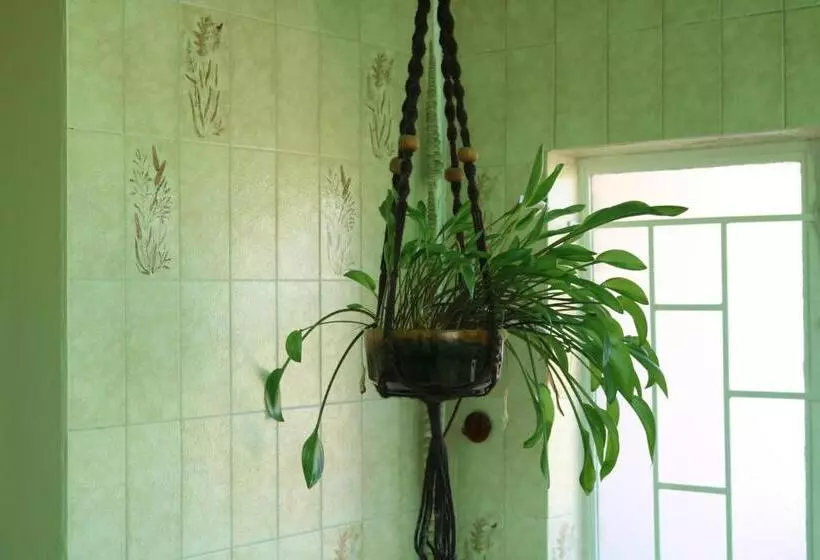هتل Grysbok Self Catering Accommodation