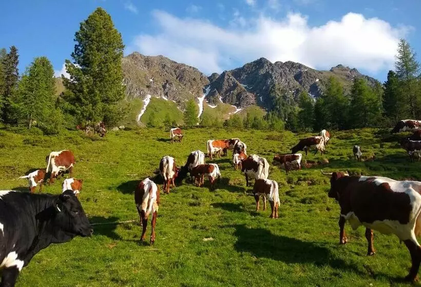 Majatalo Sauschneidhof   Radstadt