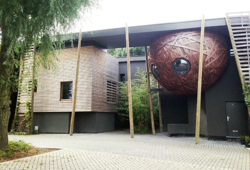 פנסיון Un Nid Et Gîte à Tournai