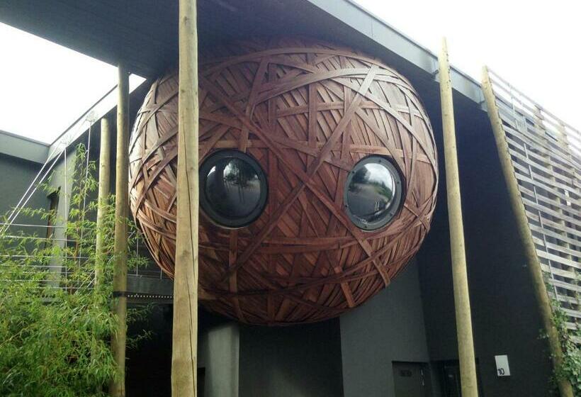 פנסיון Un Nid Et Gîte à Tournai