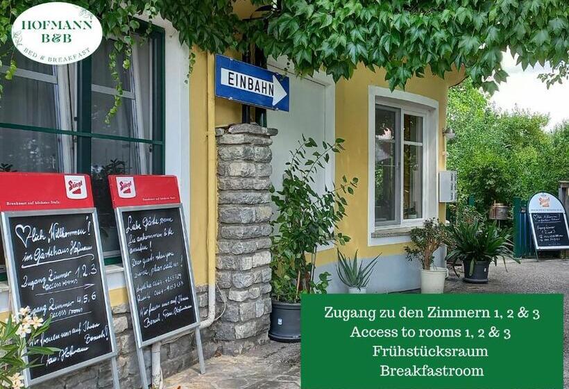 Общежитие Hofmanns B&b