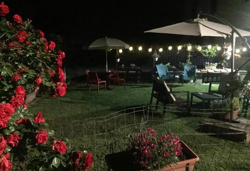 B&b Happiness In The Country