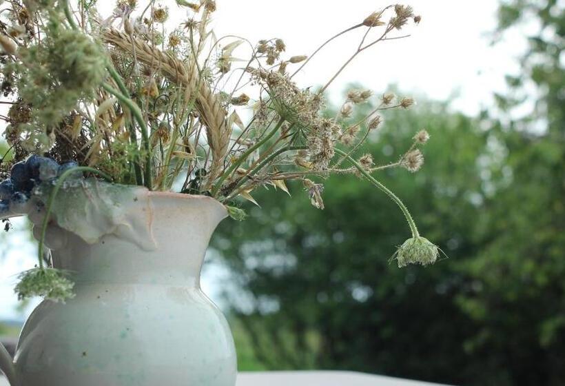 Bed and Breakfast Hameau Des Damayots