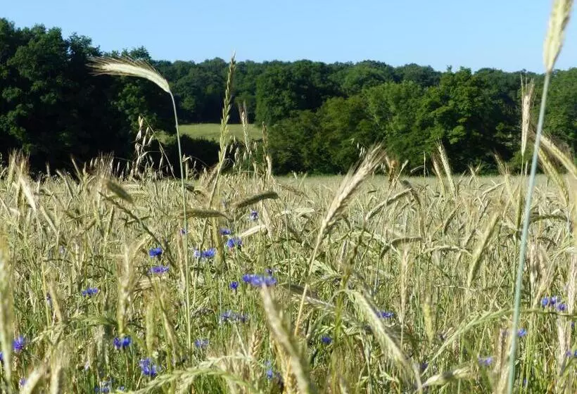 ベッドアンドブレックファースト Hameau Des Damayots