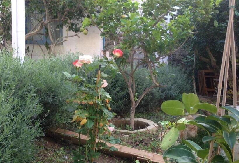 צימר La Casa Del Limoneto