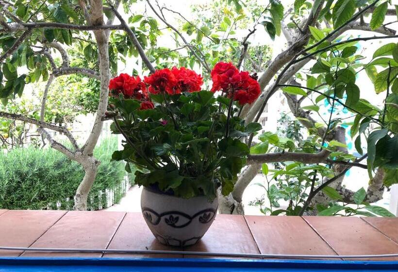 צימר La Casa Del Limoneto