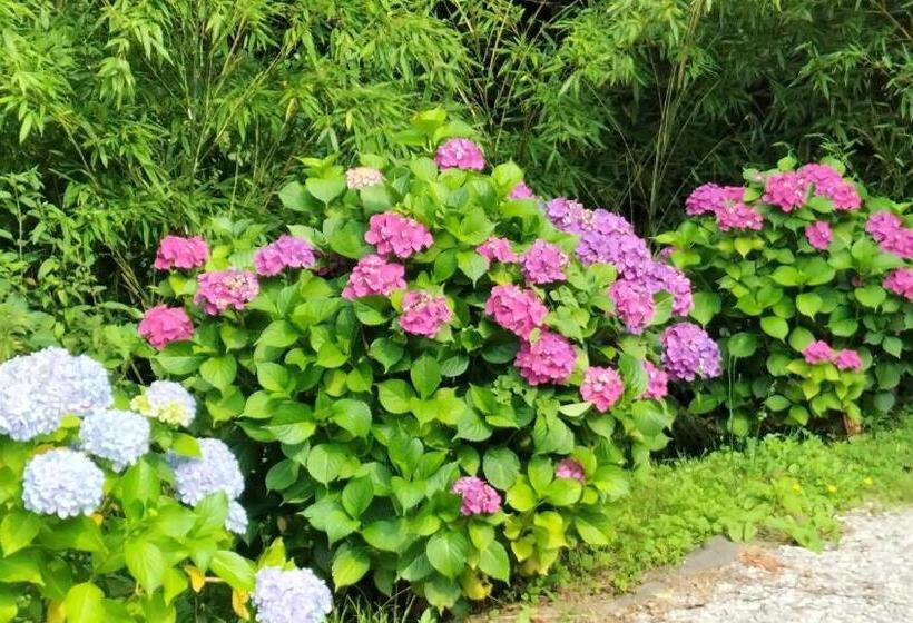 Bed and Breakfast Le Moulin De Saubrigues