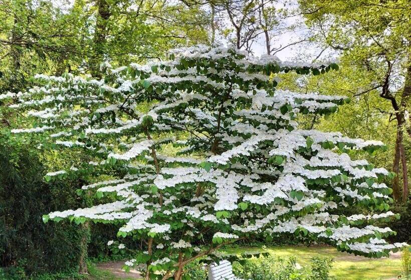 Bed and Breakfast Le Moulin De Saubrigues