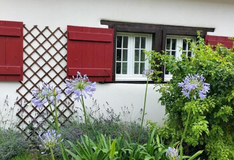 Bed and Breakfast Le Moulin De Saubrigues