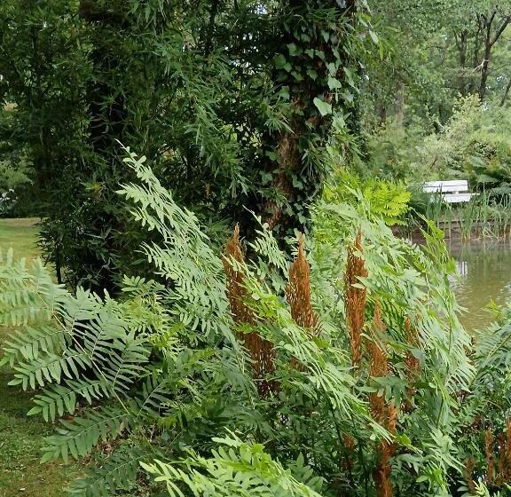 Bed and Breakfast Le Moulin De Saubrigues