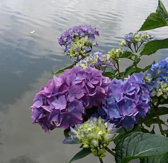 Bed and Breakfast Le Moulin De Saubrigues