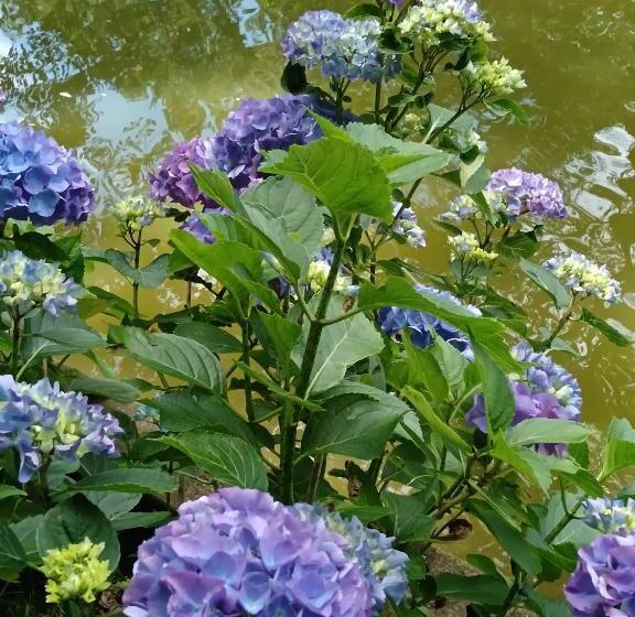 Bed and Breakfast Le Moulin De Saubrigues