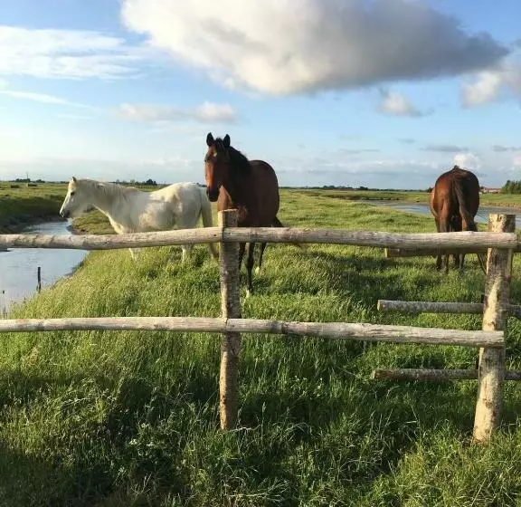 Aamiaismajoitus (B&B) Les Pensions Du Joslin