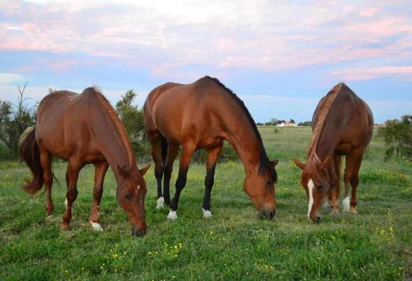 مبيت وإفطار Les Pensions Du Joslin