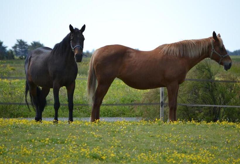 مبيت وإفطار Les Pensions Du Joslin