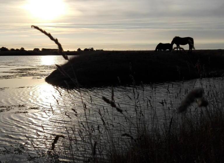 مبيت وإفطار Les Pensions Du Joslin