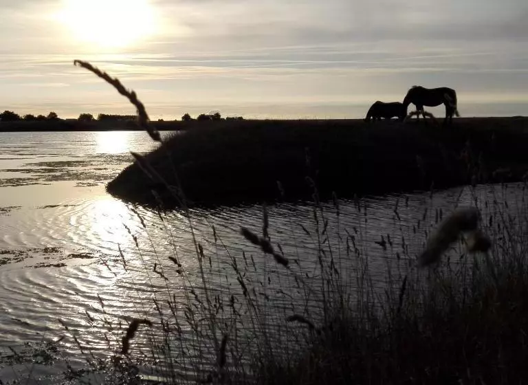 Aamiaismajoitus (B&B) Les Pensions Du Joslin