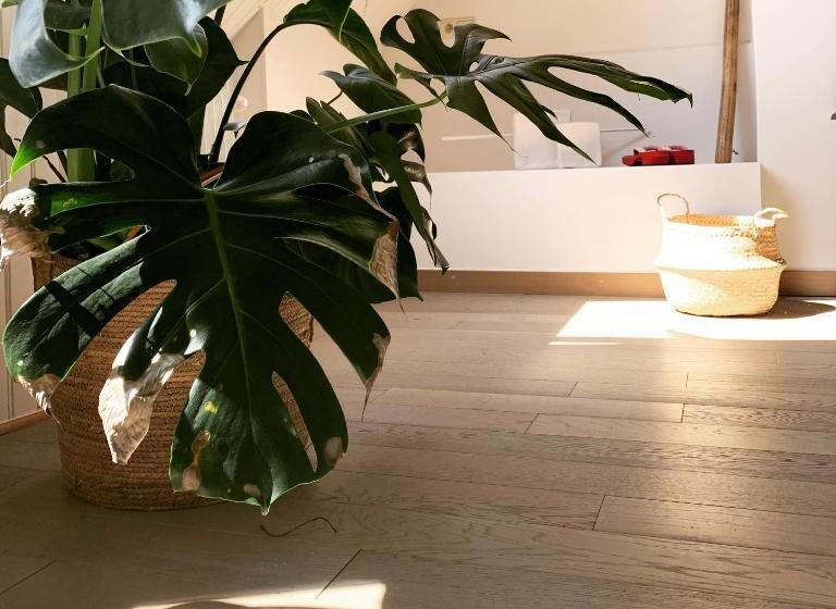 צימר Maison D Artiste