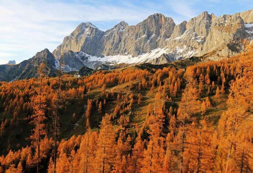 Bed and Breakfast Pension Adlerhorst