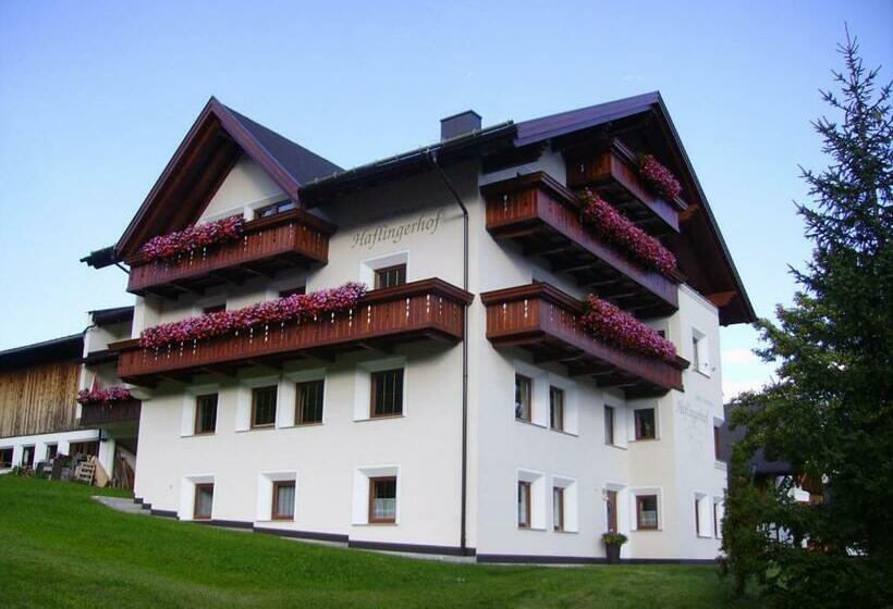 Haflingerhof