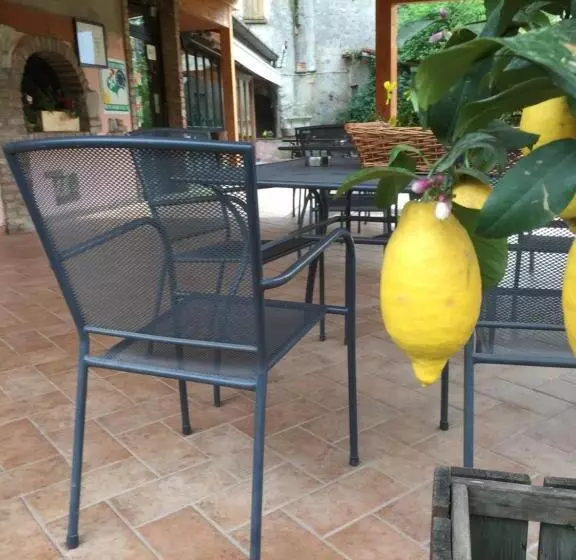 Hotelli Albergo Trattoria Dazze
