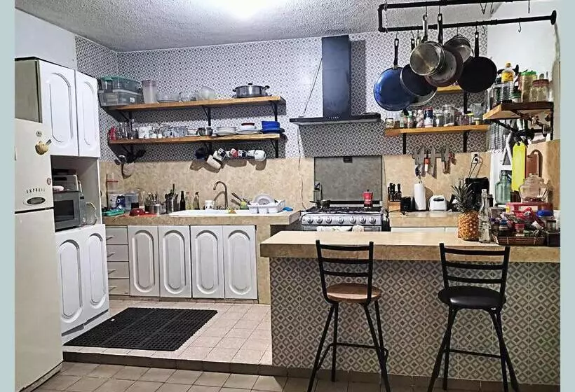ペンション Casa Del Pintor Chetumal