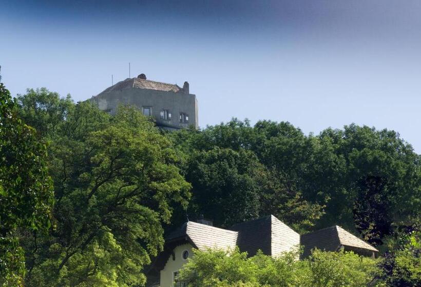 ペンション Villa Neuwirth