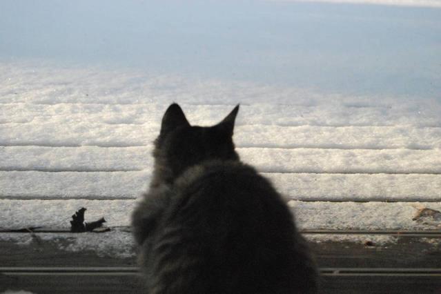 تختخواب و صبحانه Aamuranta