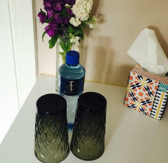 تختخواب و صبحانه Tara Lodge Galway