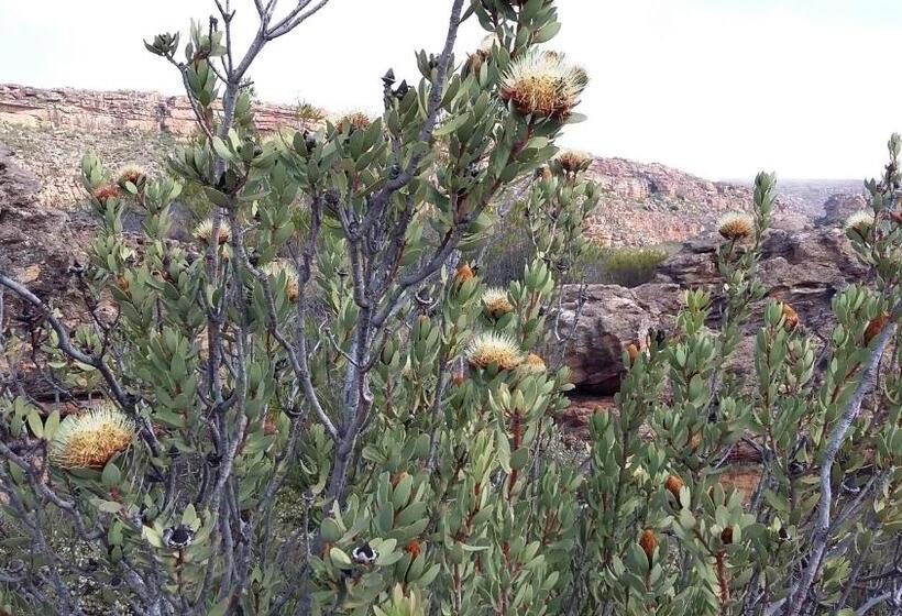 ホテル Kleinfontein