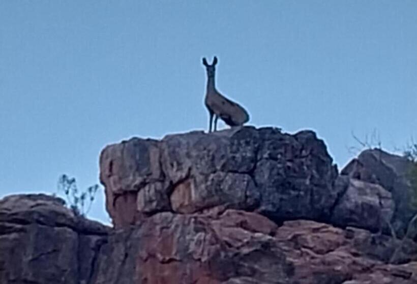 ホテル Kleinfontein