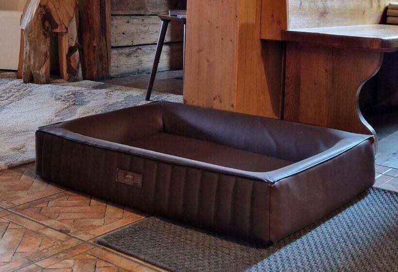 膳宿费 Haslaustube