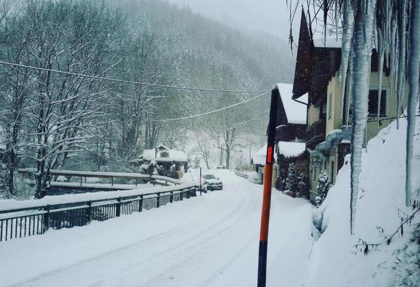 膳宿费 Haslaustube