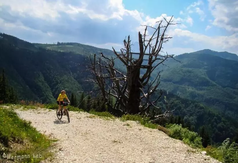 ペンション Haslaustube