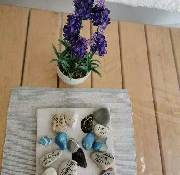 پانسیون House Katarina