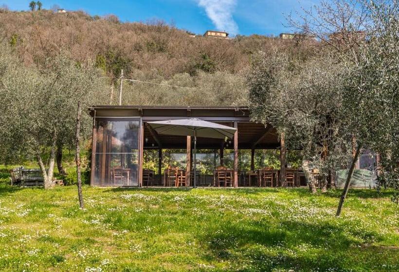 Un Ottima Annata B&b