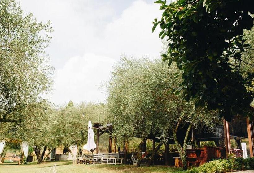 Un Ottima Annata B&b