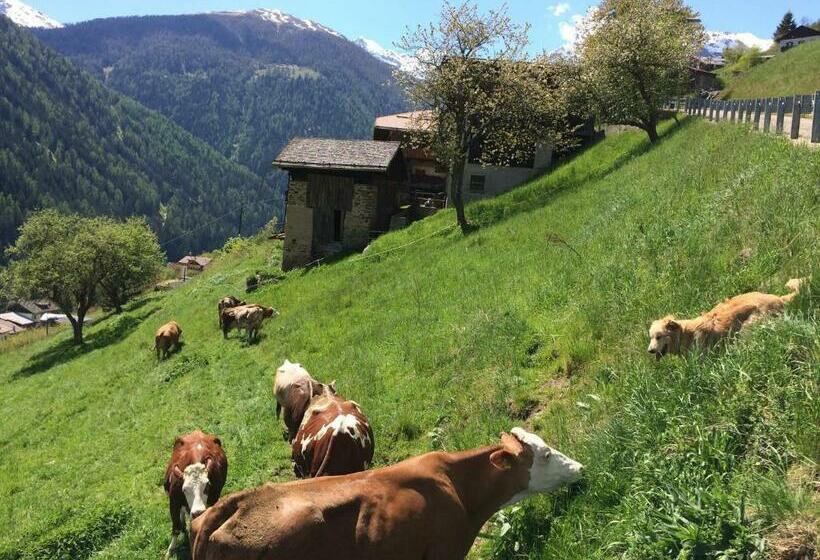 Agritur Maso Ciprianna B&b