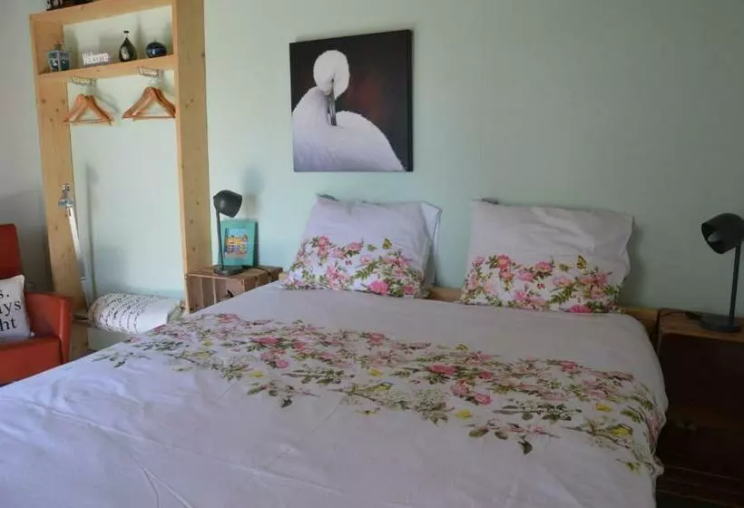 B & B Boezeneren