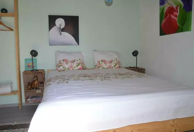 B & B Boezeneren