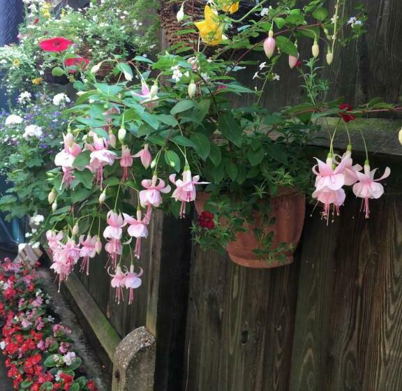 민박 38 Whitehall Road