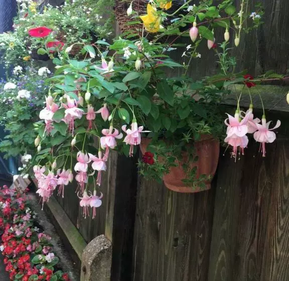 Aamiaismajoitus (B&B) 38 Whitehall Road